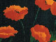 Peggy's Poppies